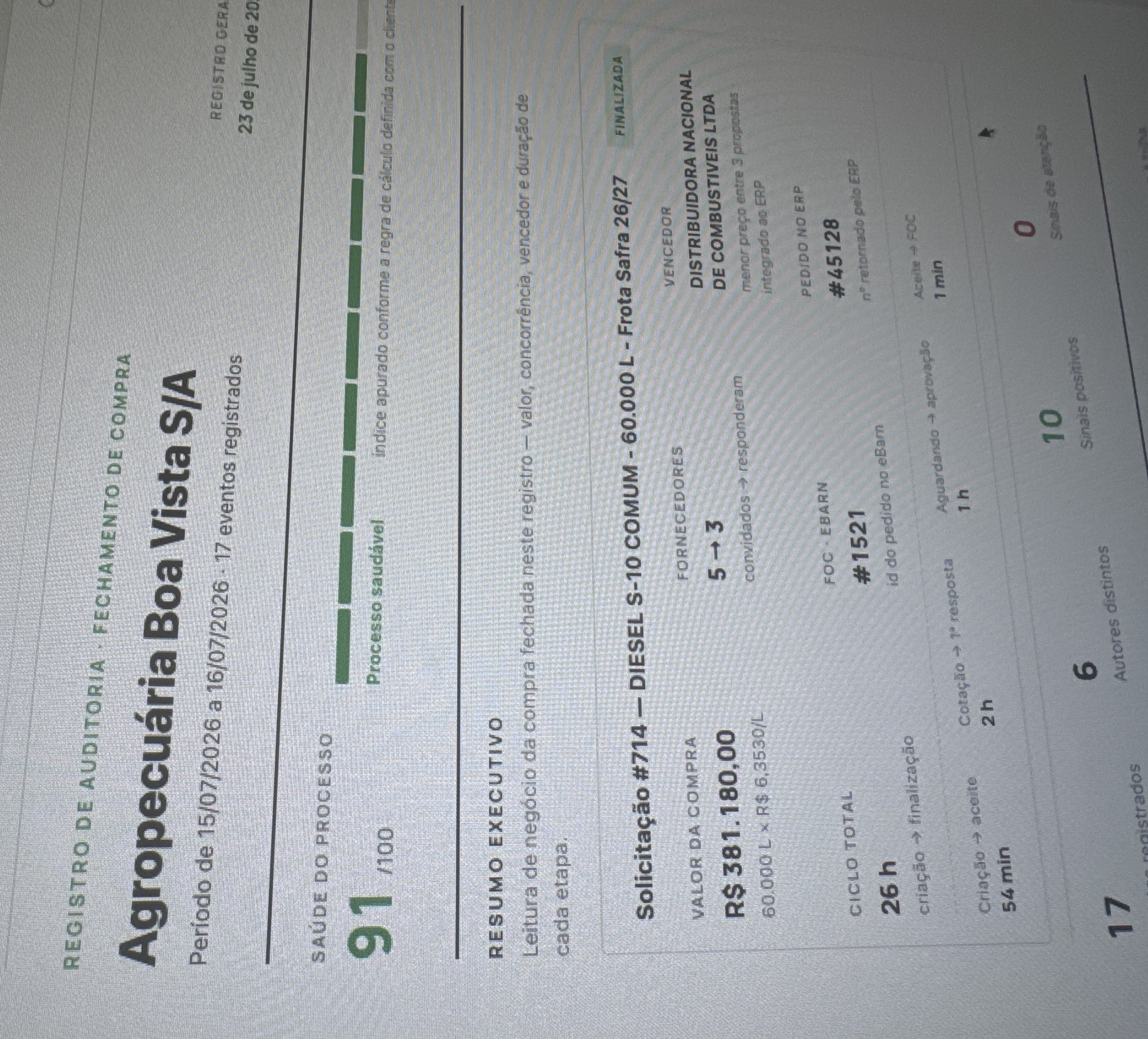 Relatório de auditoria em PDF com análise por IA